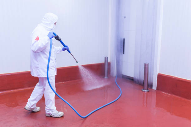 Best Warehouse Floor Cleaning in Bayou La Batre, AL